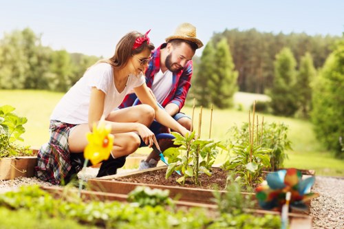 Landscapers Lee team introduction with a focus on outdoor design and property care
