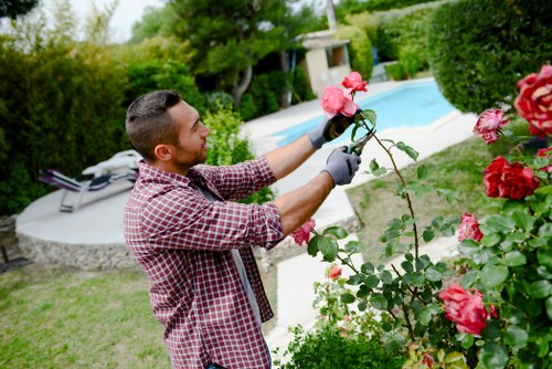Landscape planting and design services in Lee