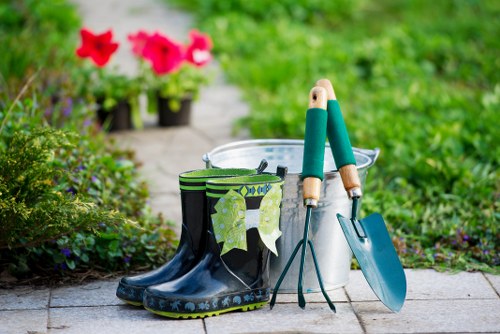 Overgrown garden cleared and refreshed in Lee