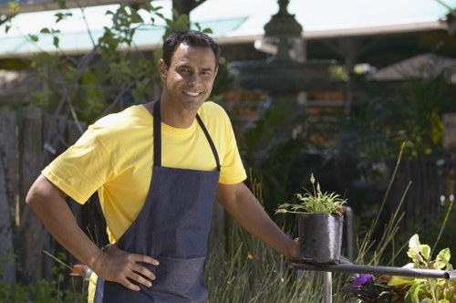 Hard landscaping features in Lee including paths, borders, and structured outdoor spaces