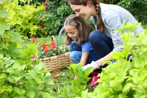 Final showcase of Landscapers Lee creating a complete, functional, and attractive garden