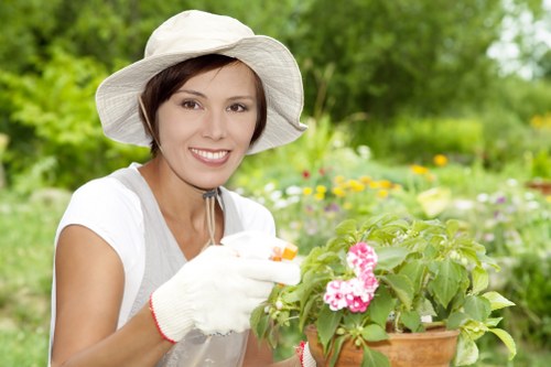 Professional landscape gardening in Lee with lighting, trees, and modern features