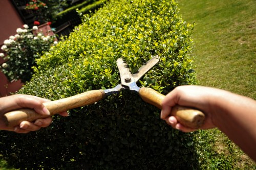 Weed control and turf maintenance for lawn care in Lee