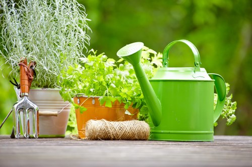 Local gardening team planning an outdoor space in Lee