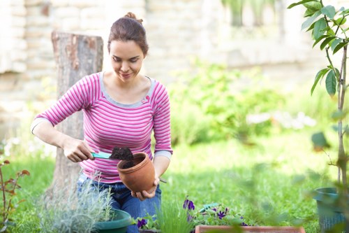 Plant selection and installation by planting services in Lee