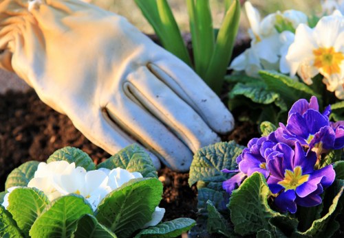 Commercial lawn maintenance for a premises in Lee