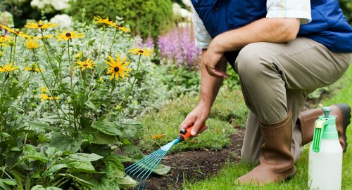 Landscape planning with shrubs, lawn, and hardscape in Lee