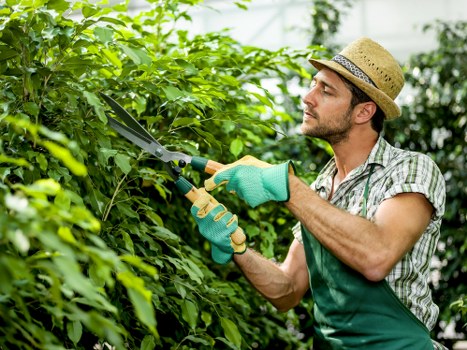 Supervised landscaping and waste loading on a site