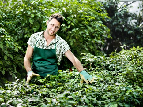 Responsible green waste removal during garden clearance