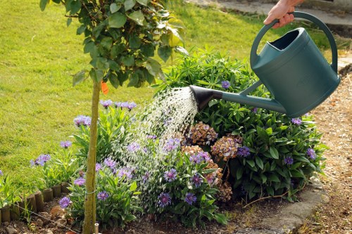 Seasonal landscape maintenance and planting in Lee