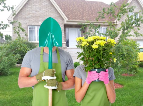 Seasonal garden maintenance in Lee with healthy plants and lawn care