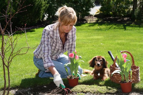 Softscape and hardscape features used in landscaping in Lee