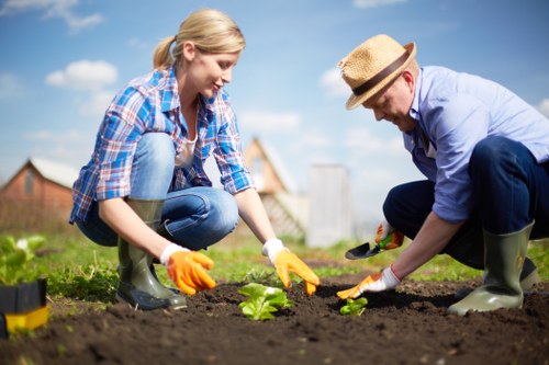 Professional mowing practices for lawn care in Lee